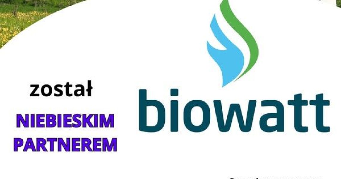 green gas poland 2025 – vii konferencji biogazu i biometanu